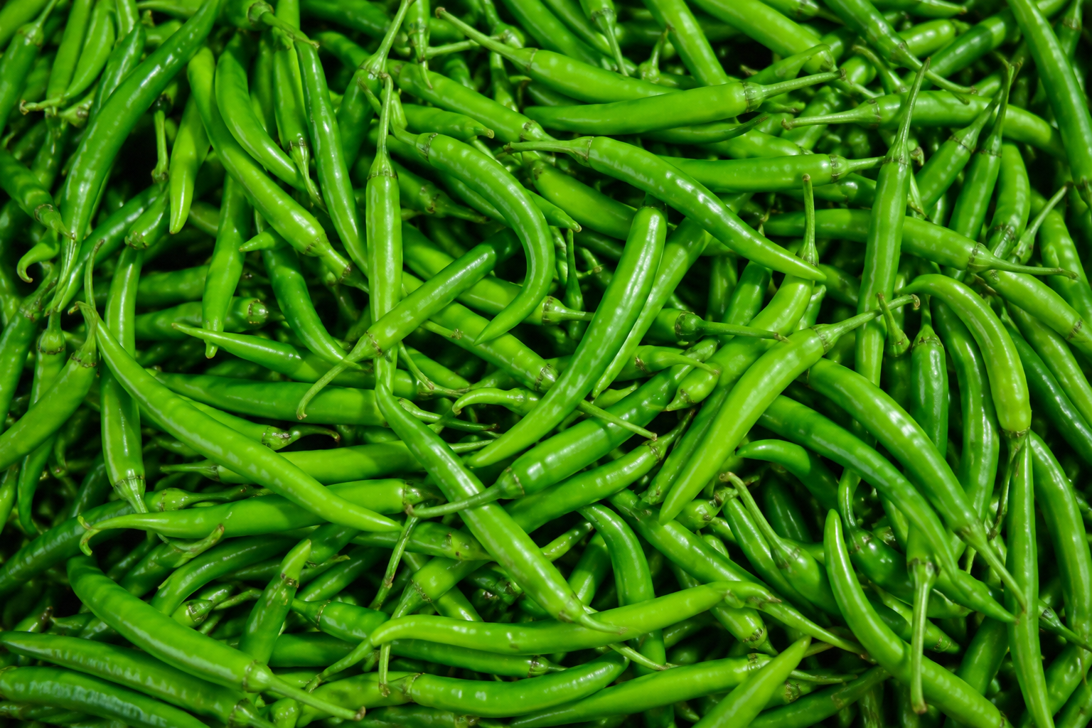 Export Quality Green G4 Chilli